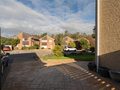 Picture 22